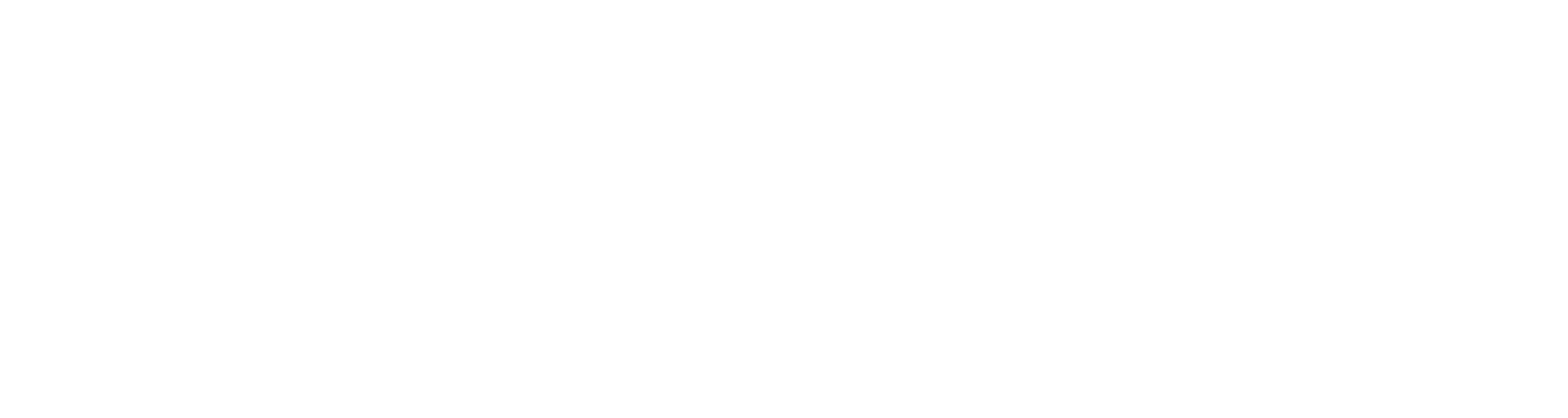 Logo Starevaluator